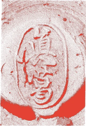 宮川長造的落款・印章样本（1797（寛政9）〜1860（万延元）） - 陶芸家艺术家