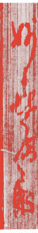 妙喜庵功叔的落款・印章样本（？－文禄3年（1594）） - その他艺术家