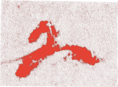 今井宗久的落款・印章样本（1520（永正17）〜1593（文禄2）） - その他艺术家