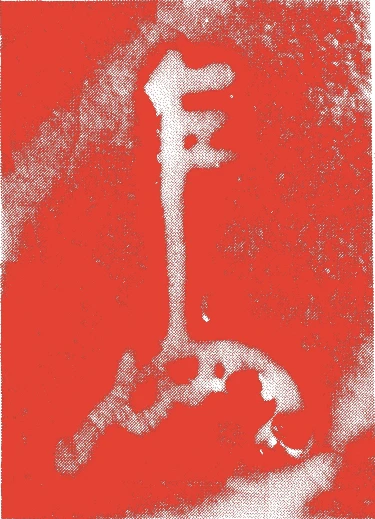 十三世即中斎宗左的落款・印章样本（1901（明治三四）〜1979（昭和五四）） - その他艺术家