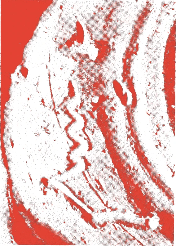二代六兵衛的落款・印章样本(寛政二年(1790)-万延元年(1860)) - その他艺术家