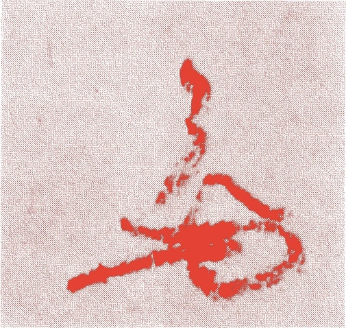 角倉了以的落款・印章样本（天文二三年－慶長一九年（一五五四－一六一四）六十一歳） - その他艺术家